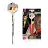Dimitri Van Den Bergh Dream Maker G1 90% Tungsten Steel Darts